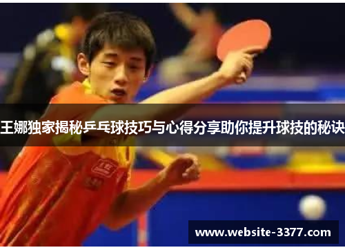 王娜独家揭秘乒乓球技巧与心得分享助你提升球技的秘诀