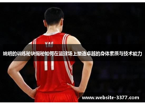 姚明的训练秘诀揭秘如何在篮球场上塑造卓越的身体素质与技术能力